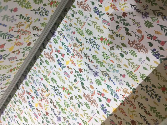 110V / 220V Automatyczny system drukowania tkanin / Maszyna do drukowania tkanin atramentowych